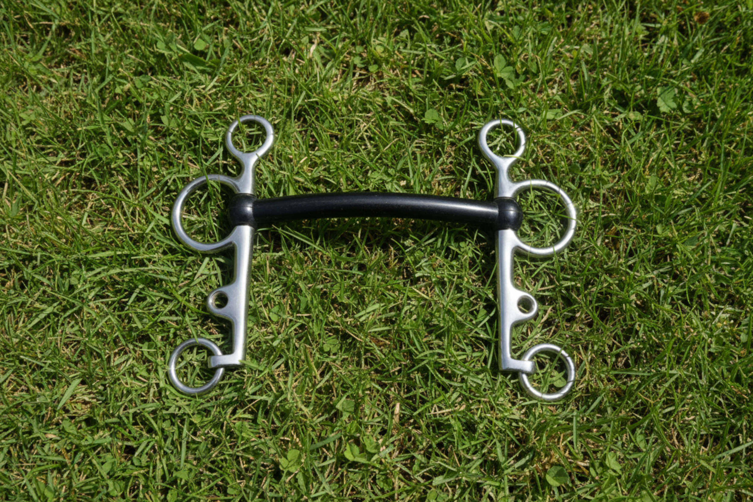 Premium Quality Horse Bit Stainless Steel