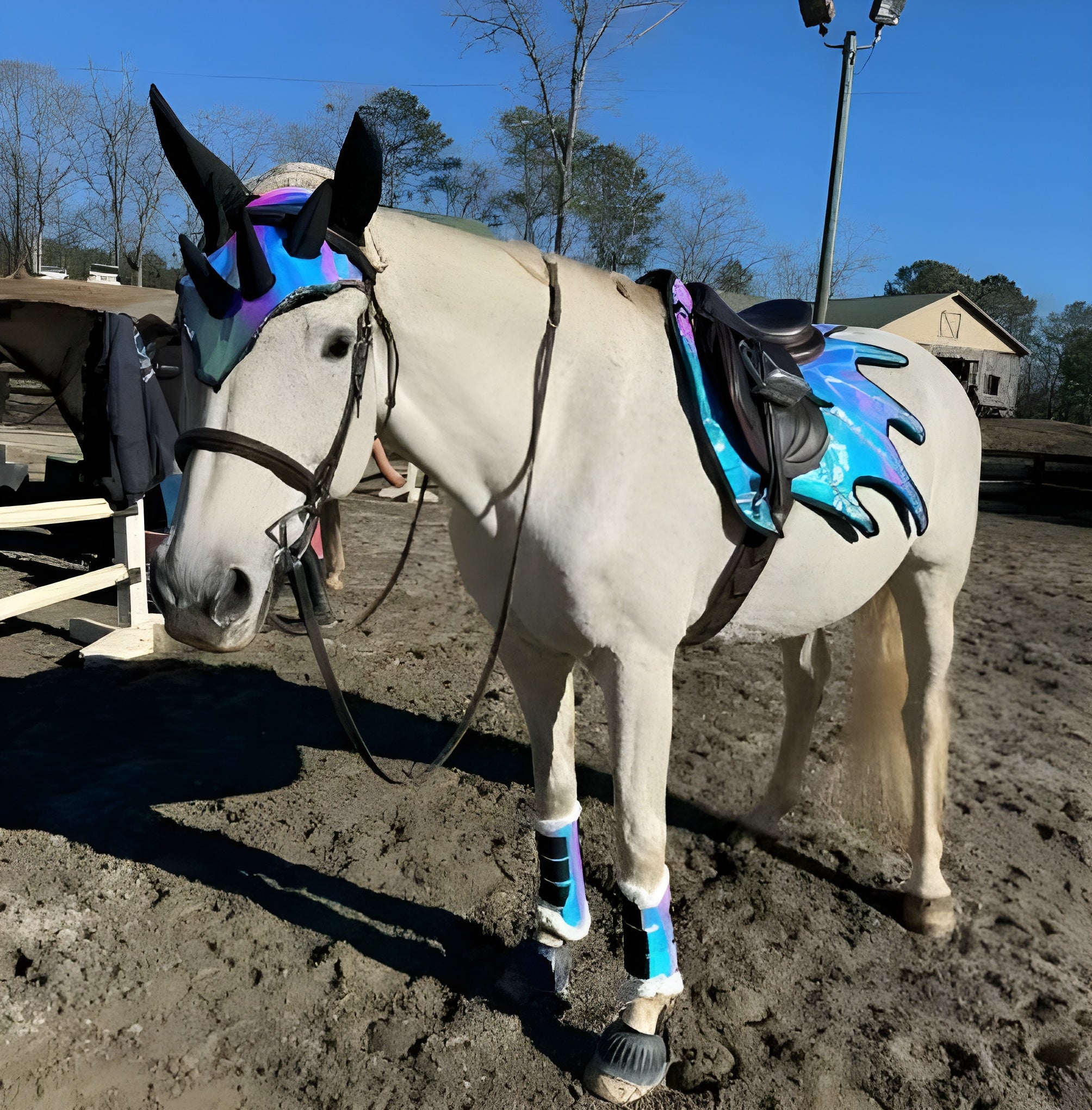 Dragon Horse Saddle Pad, Ear Bonnet & Horse Boot Set, Breathable, Shock Absorbing Equestrian Gear